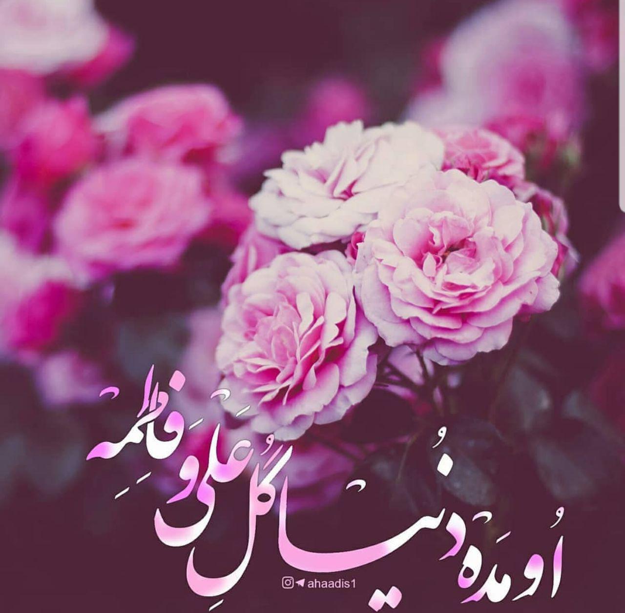 تصاویر پروفایل زیبا ویژه ولادت امام حسین (ع)