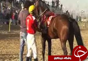 جشنواره شوی اسب سواری  درآرپادره سی