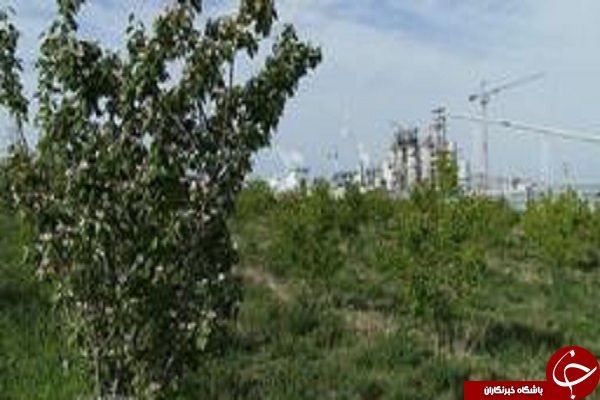 بهره برداری از پارک جنگلی مراغه