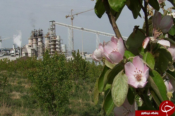 بهره برداری از پارک جنگلی مراغه