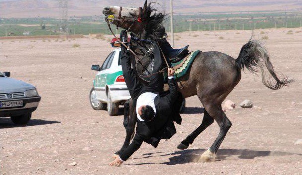 نماینده مرندوجلفا از اسب برزمین افتاد