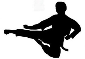 همایش کونگ‌فوتوآی سنتی استان قزوین
