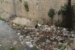 داشتن شهری پاکیزه حق طبیعی شهروندان کرمانشاهی است