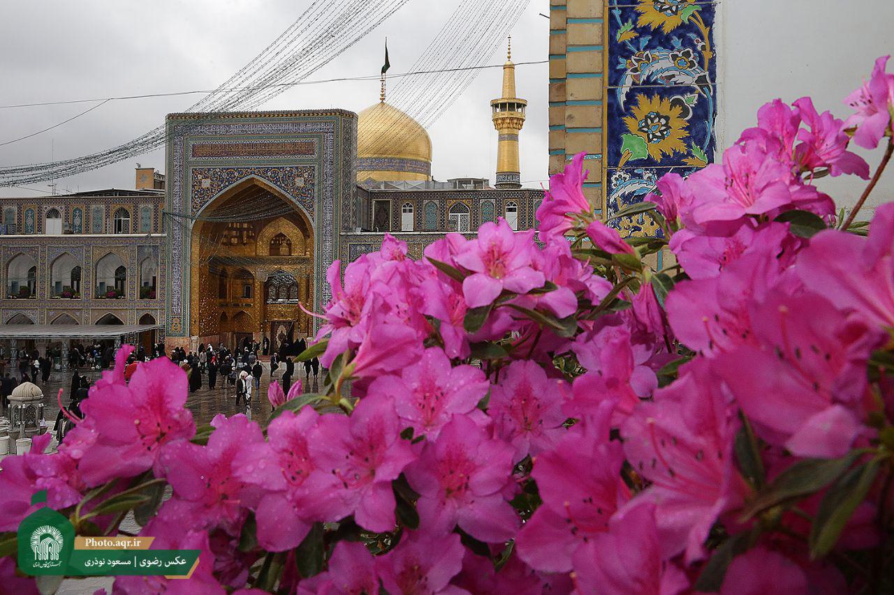 بانوی مجارستانی در حرم ثامن الحجج(ع) به دین اسلام مشرف شد