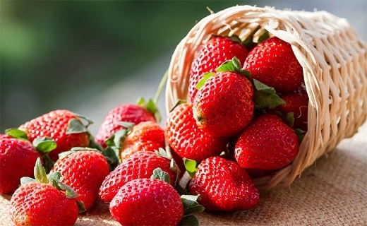 خواص شگفت&zwnj;انگیز گیاهان برای مقابله با سرطان/قوی&zwnj;ترین سلاح&zwnj;های گیاهی در برابر شبیخون سلول&zwnj;های سرطانی