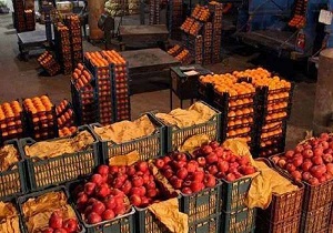 توزیع میوه طرح تنظیم بازار در استان قزوین ادامه دارد