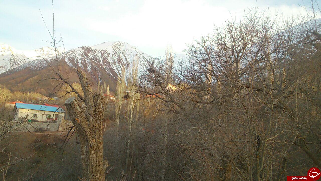 طبیعت بهاری روستای &laquo;ورک&raquo; + تصاویر