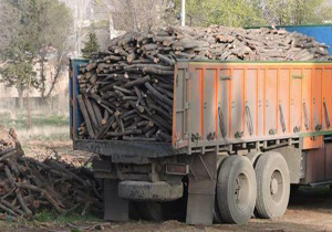 کشف ۱۱ تن و ۵۰۰ کیلوگرم چوب قاچاق بلوط