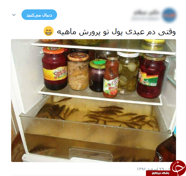 طنازی های عیدانه