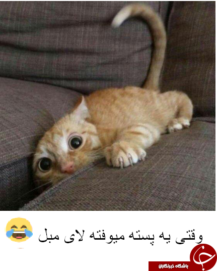 طنازی های عیدانه