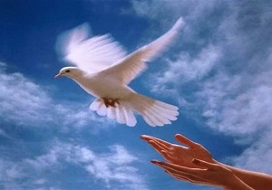 آزادی ۱۳۳ زندانی جرایم غیرعمد در سیستان و بلوچستان