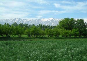 دیدن طبیعت زیبای نهاوند را از دست ندهید + تصاویر