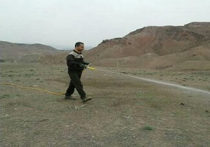 سمپاشی ۹۹ هکتار از کانون‌های طغیان ملخ در بخش طارم سفلی