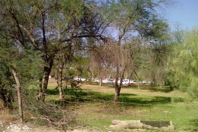 پنج پارک جنگلی دراستان بوشهرتجهیز شد
