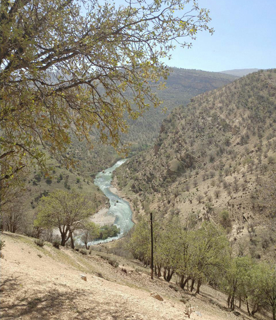 تصویری زیبا از طبیعت بهاری روستای دورک اناری