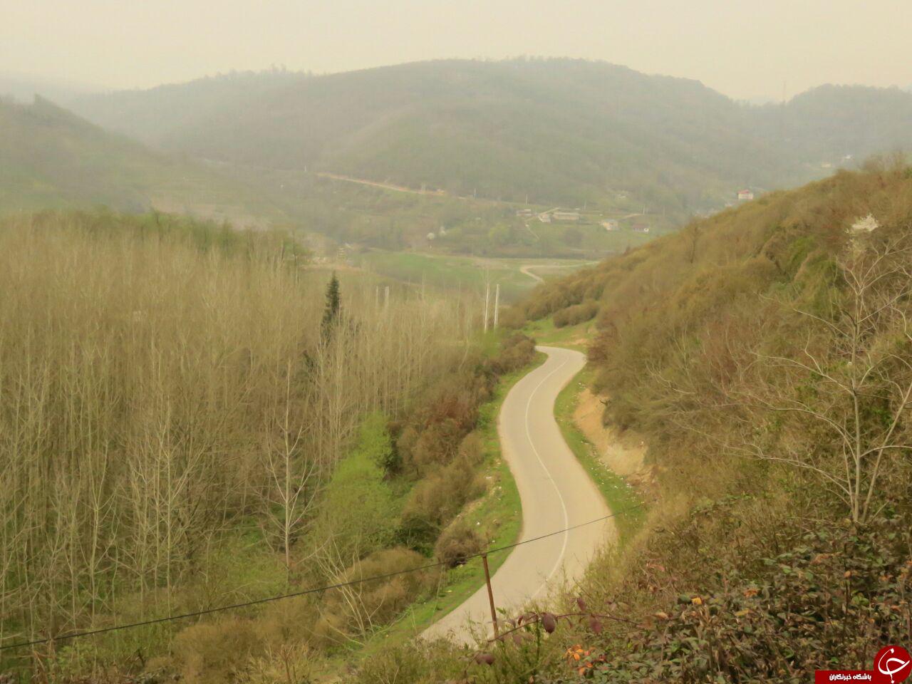 طبیعت زیبای مازندران در قاب دوربین + تصاویر