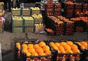 توزیع1040 تن سیب و پرتقال در کردستان  