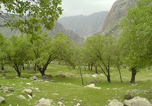 نگهداری از منابع طبیعی مورد توجه گردشگران و مسافران نوروزی باشد