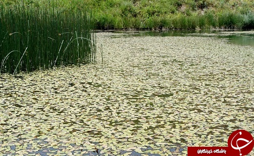 سفر به سرزمین رنگین کمان اقوام و ادیان در ایام نوروز سفر به سرزمین رنگین کمان اقوام و ادیان در ایام نوروز