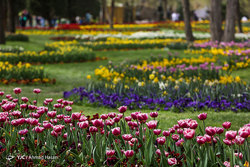 موسیقی اقوام ایران در کیش
