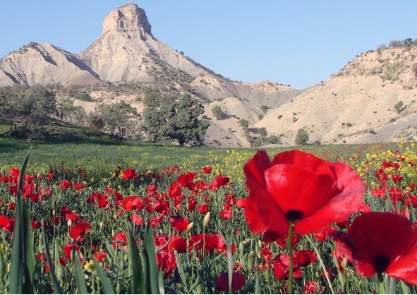 توصیه های زیست محیطی برای مسافران نوروزی