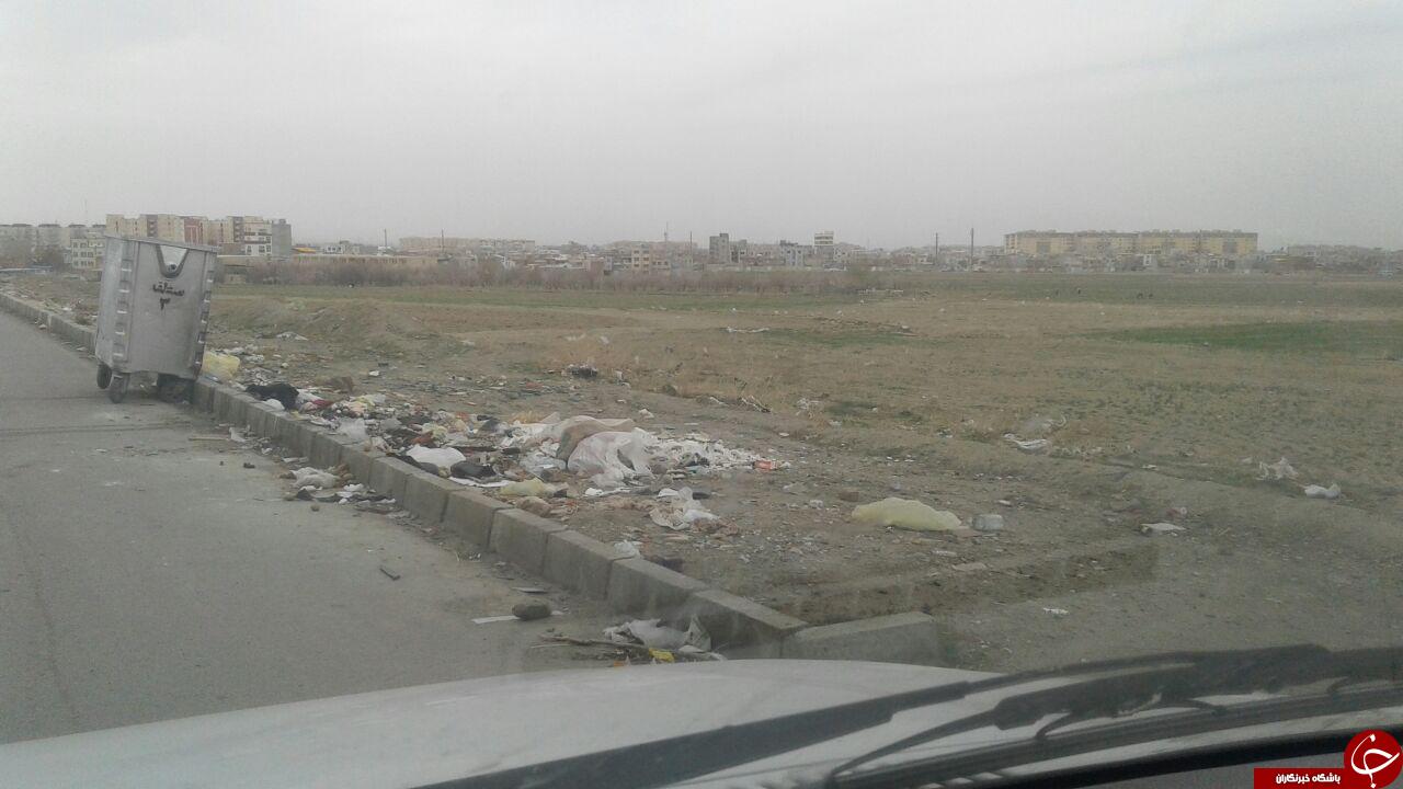 وضعیت نامناسب بهداشت در کوچه و معابر مسکن مهر همدان + تصاویر