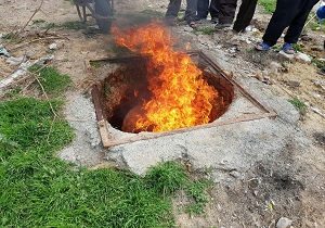 امحاء117 کیلوگرم گوشت کشتار غیر مجاز  در شهرستان ثلاث باباجانی