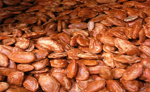 تخمه مقوی آجیل کدام است/ روش هایی برای حذف کسالت بهاری/ خواص یک دهانشویه طبیعی فوق العاده/ خطر مصرف برخی داروها پیش از رانندگی