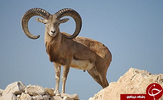 سفر به نگین فیروزه&zwnj;ای شمال غرب ایران در ایام نوروز