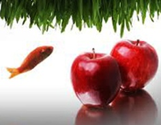 10 ترفند ساده و فوق&zwnj;العاده برای سلامت بیشتر در سال جدید