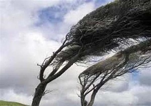 پیش بینی وزش تندباد شدید در اردبیل