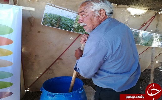 برگزاری مراسم نوروز گاه شهرستان خاتم در محل مجموعه گردشگری سرچشمه نهر مسیح هرات +تصویر