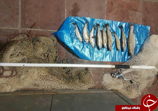 کشف و ضبط ۱۴ رشته تور ماهیگیری غیرمجاز در مازندران