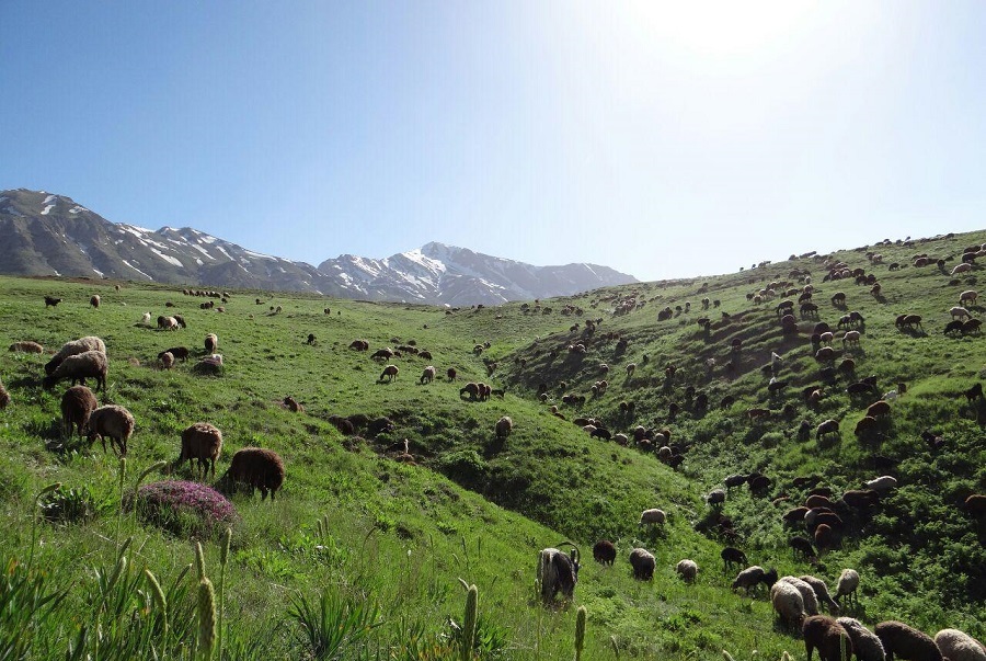 ۱۲ واقعیت جالب و خواندنی در مورد کوه دماوند؛ مظهر پایداری در ایران