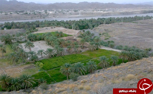 سرباز تنها زیستگاه پوزکوتاه ایرانی پذیرای گردشگران نوروزی