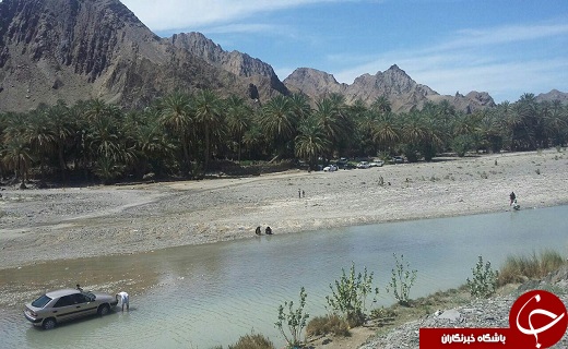 سرباز تنها زیستگاه پوزکوتاه ایرانی پذیرای گردشگران نوروزی
