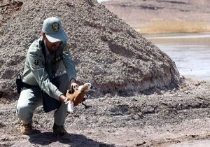 اجرای طرح آموزشی یک ساعت با محیط بان برای دانش آموزان قمی