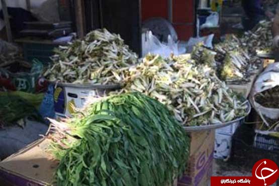 دنیای رنگین غذاهای سنتی کرمانشاه+ تصاویر