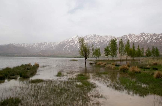 طبیعت گردی در تالاب بین المللی چغاخور