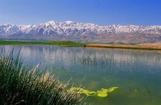 طبیعت گردی در تالاب بین المللی چغاخور