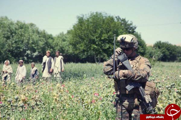 مبارزه سوری آمریکا با مواد مخدر در افغانستان+ تصاویر