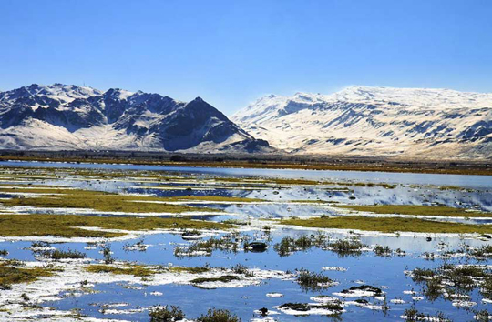 تالاب پرنده نگری ایران پذیرای مسافران نوروزی