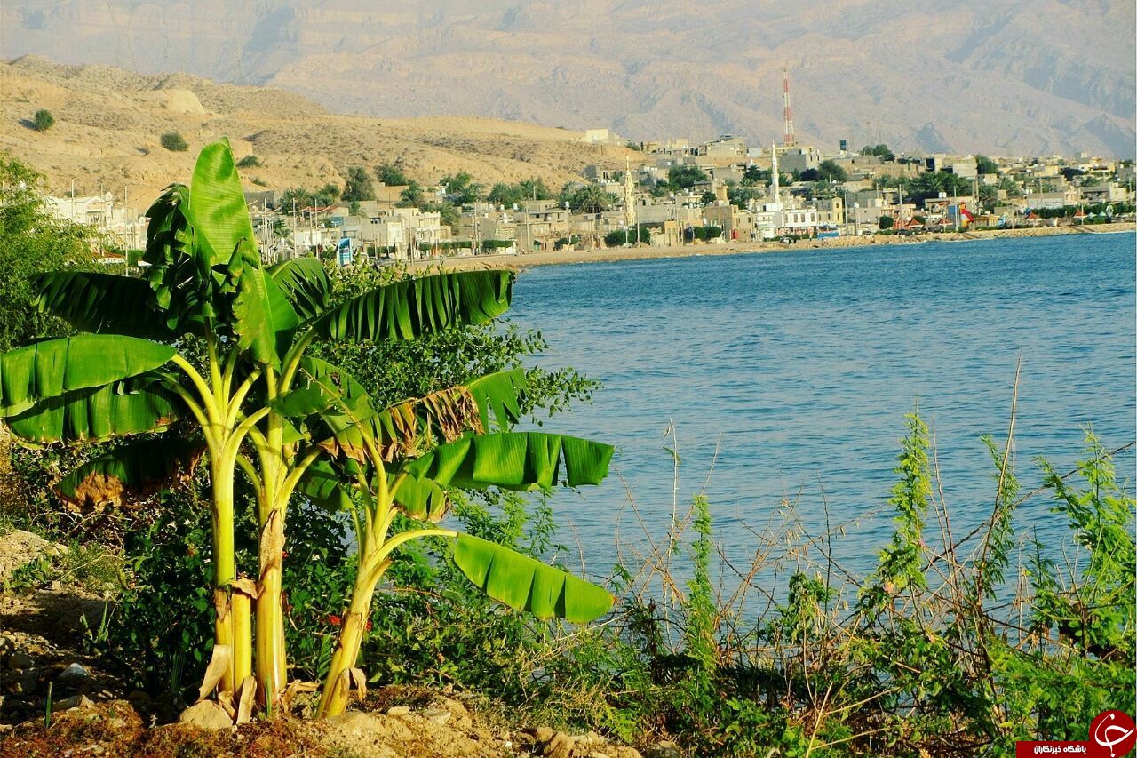 نوروز در بوشهر؛ از  گنبد نمکی جاشک تا آب&zwnj;انبار قوام +تصاویر و شناسه مسیرها