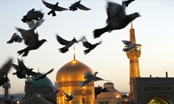 باشگاه خبرنگاران جوان، میزبان خادمان حرم مطهر امام رضا(ع) + فیلم