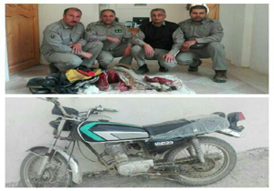 دستگیری عاملان شکار کل وحشی در کلاردشت