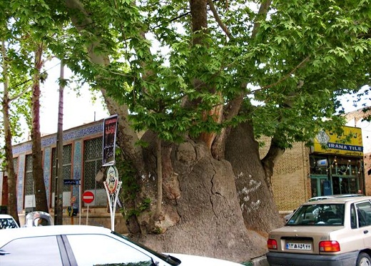سفر به هلند ایران در ایام نوروز