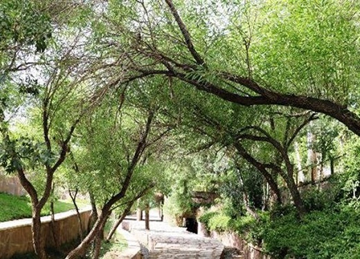 سفر به هلند ایران در ایام نوروز