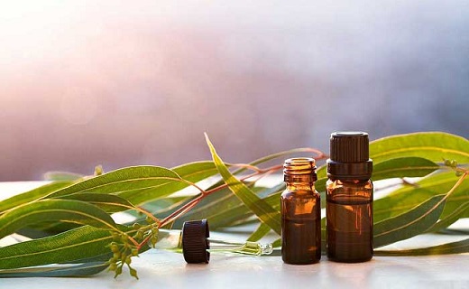 خوابی آرام و بدون خروپف را با نسخه&zwnj;های طبیعی داشته باشید/ خُر و پُف را با رژیم غذایی مناسب ضربه فنی کنید