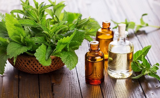 خوابی آرام و بدون خروپف را با نسخه&zwnj;های طبیعی داشته باشید/ خُر و پُف را با رژیم غذایی مناسب ضربه فنی کنید
