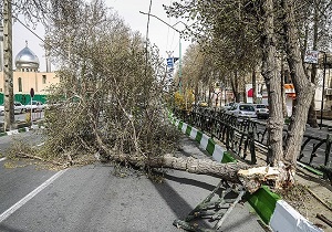 تند باد در آذربایجان غربی چهار مصدوم بر جای گذاشت